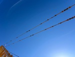 Crane Superstructure with Pendant Line (Boom Tension Line)