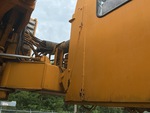 General Appearance with Paint