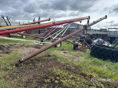 Vis sans fin à grain (Inoperable)