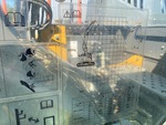Control Station with