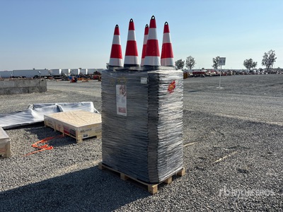 2026 TSC Quantity of (250) Coni per segnalazioni stradali (Unused)