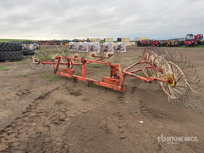 Sitrex RP10 273 in 3-Point 10 Wheel Andanatore fieno