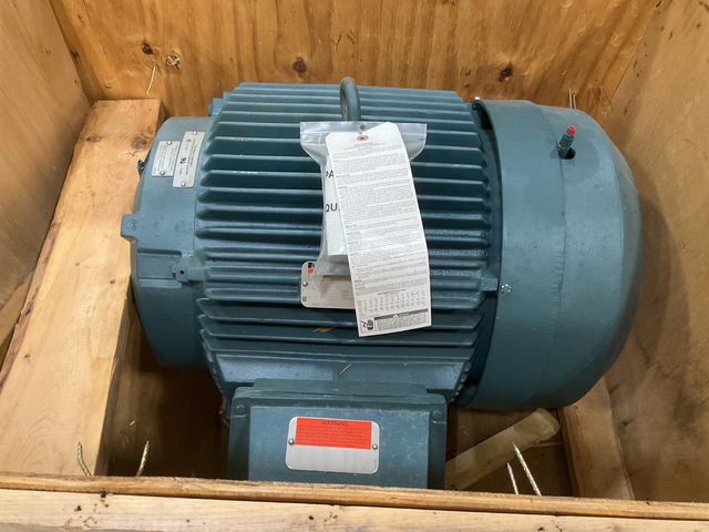 Reliance XEX IEEE-45/ABS Electric Motor
