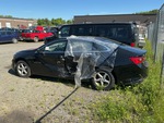 Picture, Left Rear Corner