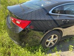 Picture, Right Rear Corner