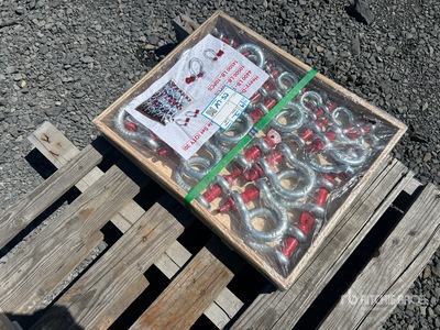 Quantity of (30) Heavy-Duty D-Ring Shackle Set (Unused)