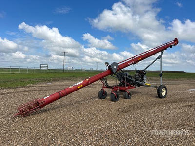 Meridian TL10-39 Vis sans fin à grain