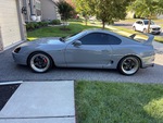 General Appearance with Paint