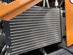 Motor with Radiador