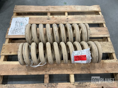 (2) Duer 166519 Compression Helical Springs