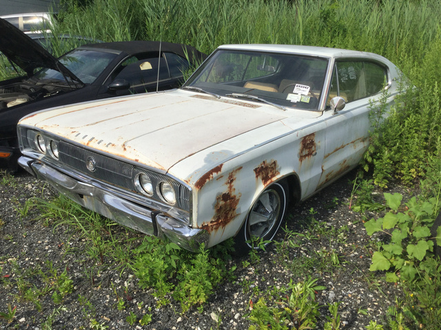 1966 Dodge Charger 1966 Dodge Charger