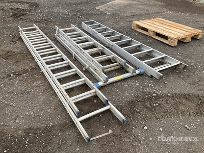 Quantity of (3) Ladder