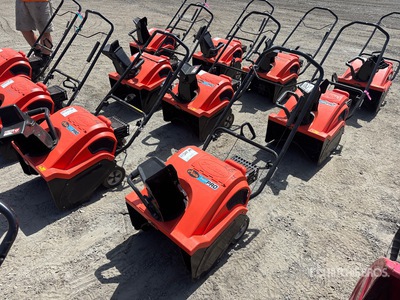 Ariens 20 in Walk-Behind Quitanieves de soplado