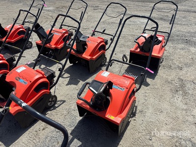 Ariens 20 in Walk-Behind Quitanieves de soplado