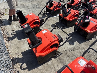 Ariens 20 in Walk-Behind Quitanieves de soplado
