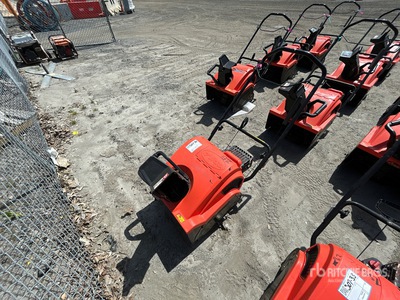 Ariens 20 in Walk-Behind Quitanieves de soplado