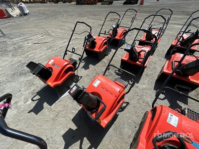 Ariens 20 in Walk-Behind Quitanieves de soplado