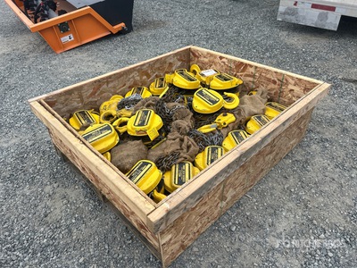 Quantity of (16) 3 Ton Chain Hoists