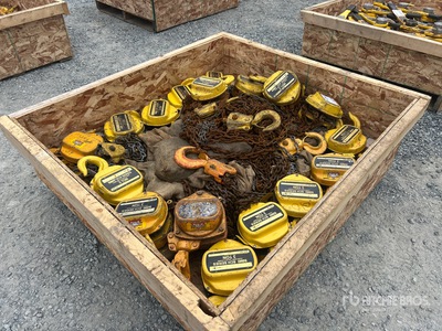 Quantity of (18) 3 Ton Chain Hoists