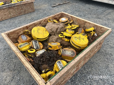 Quantity of (20) Chain Hoist