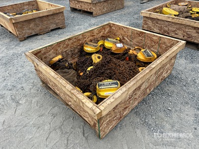 Quantity of (6) 5 Ton Chain Hoists