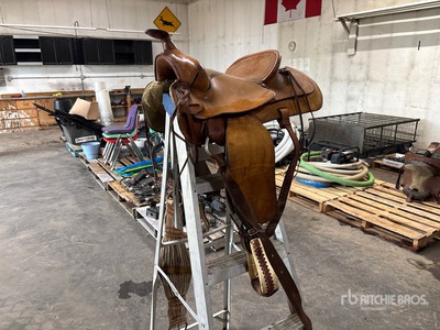 Mikes Western Wear 15 in Horse Saddle
