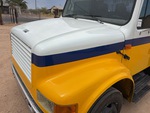 General Appearance with Paint