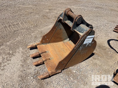 Cat 24 in Digging Bucket