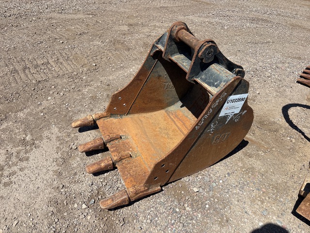 Cat 24 in Digging Bucket
