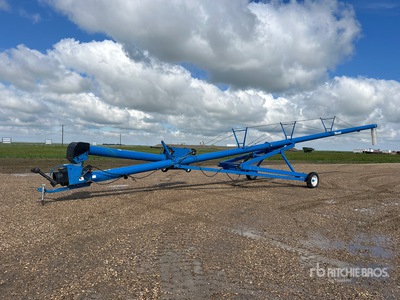 Brandt 1060 10 in x 60 ft Swing Vis sans fin à grain