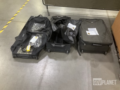 (17) Assorted Luggage Bags