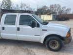 General Appearance with Paint
