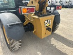 General Appearance with Paint
