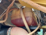 Rear Engine with 