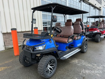 2025 SDLANCH SDLGC100 Electric Golf Cart (Unused)