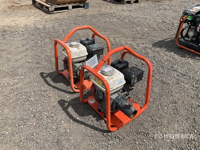 Quantity of (2) 2020 Belle BGA POKER Concrete poker