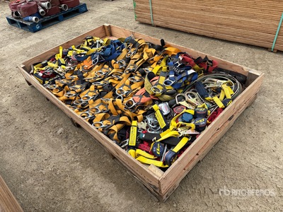 Quantity of (35) Fall Arrest Harnesses & Lanyards