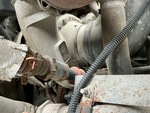 Engine with Exhaust System