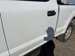 General Appearance with Paint