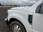 General Appearance with Paint