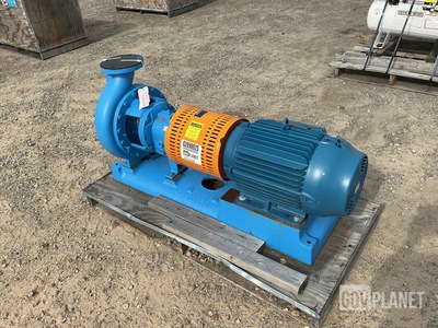 Goulds Pumps 3196 Centrifugal Pump
