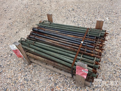 (60) Tent Pins