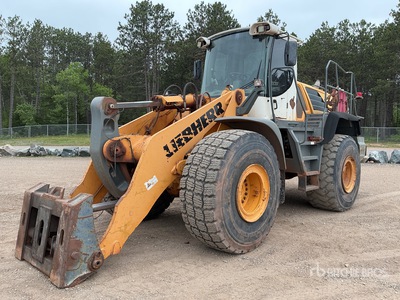 2009 Liebherr L566 جرافة