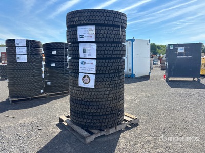 Quantity of (8) 11R22.5 GoSnow Tires