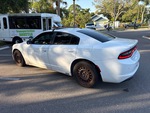 Picture, Left Rear Corner