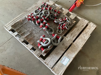 Quantity of Shackles