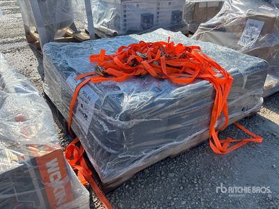 Quantity of (8) Ryobi 18 in Chain Saw