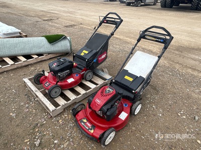Quantity of (2) Toro Walk-Behind Rasenmäher