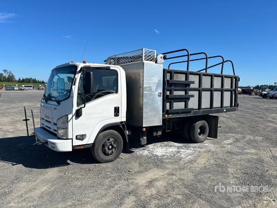 2011 Isuzu NPR Autocarro cassone fisso