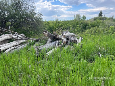 Quantity of Fire Woods